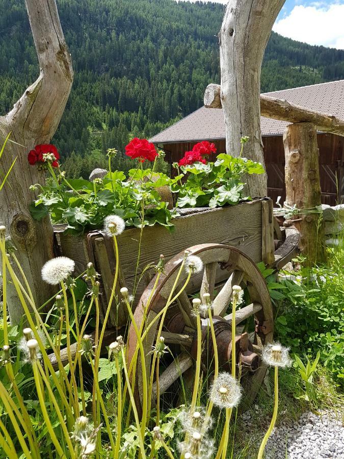 Pension Fuerhapter Mit Bio- Bauernhof Sankt Jakob in Defereggen Eksteriør bilde